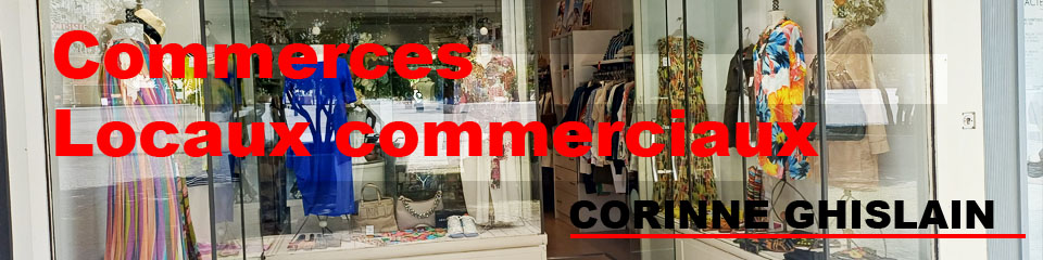 CORINNE GHISLAIN immobilier professionnel.