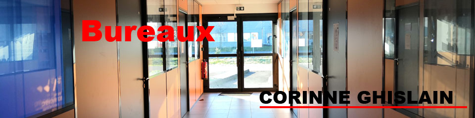 CORINNE GHISLAIN immobilier professionnel.